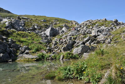 © Lac Blanc - <em>OTSFL</em>