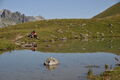 © Lac Blanc - <em>OTSFL</em>