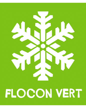 logo flocon - vert