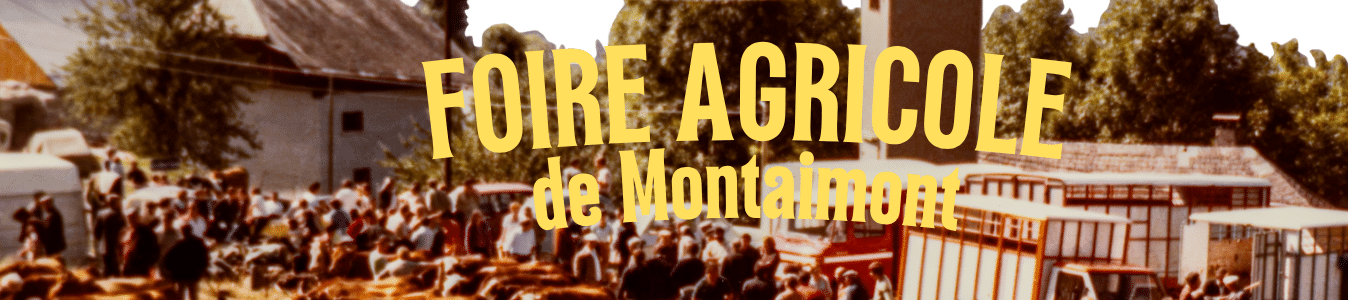 Copie de AFFICHES ÉTÉ 26